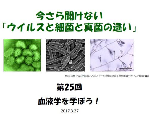 今だからこそ知りたいウイルスと菌のこと