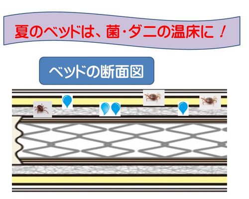 夏のベッドが大変