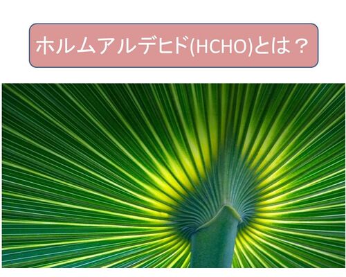ホルムアルデヒド(HCHO)とは