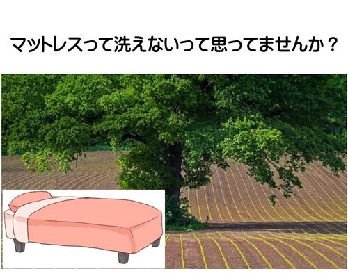 マットレスは洗えますよ