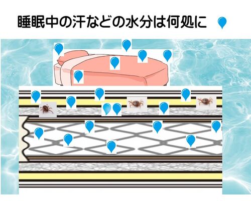 睡眠中の水分