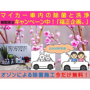 期間限定自動車